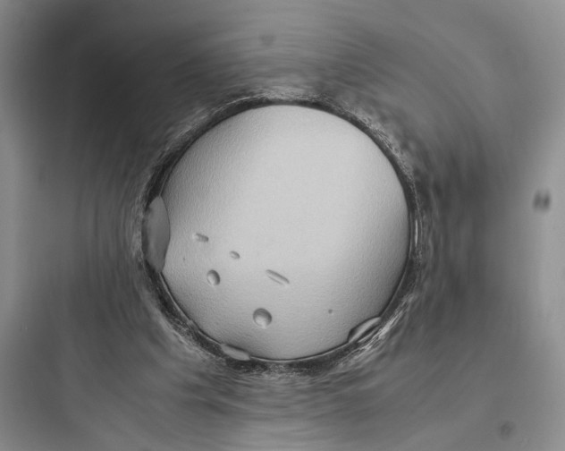 X0000097600201200803211707