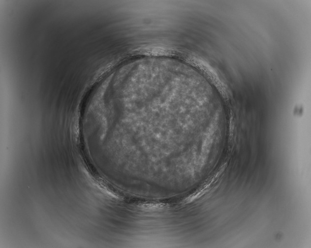 X0000097600202200803211707