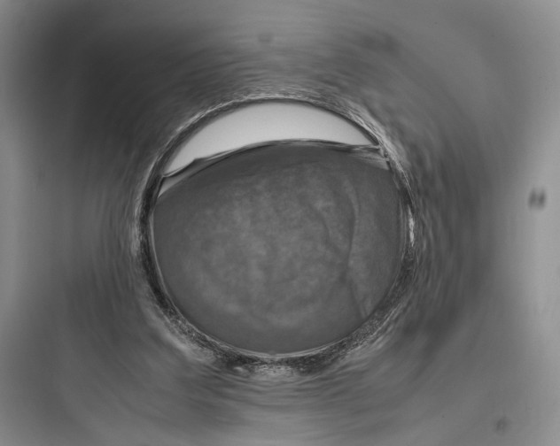 X0000097600203200803211707