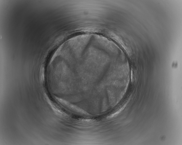 X0000097600205200803211707