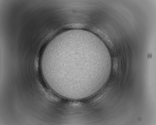 X0000097600206200803211707