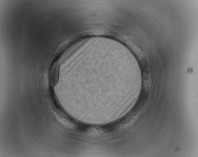 X0000097600207200803211707