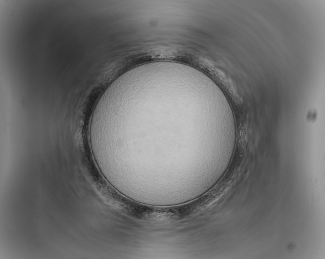 X0000097600209200803211707