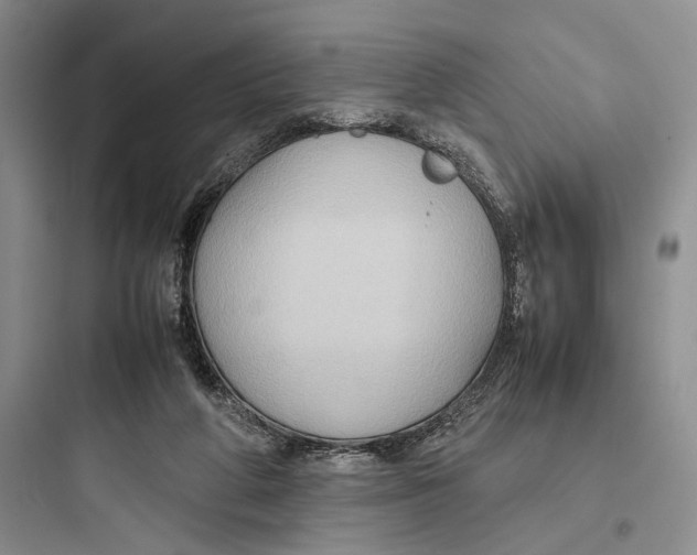 X0000097600210200803211707