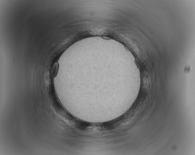 X0000097600211200803211707