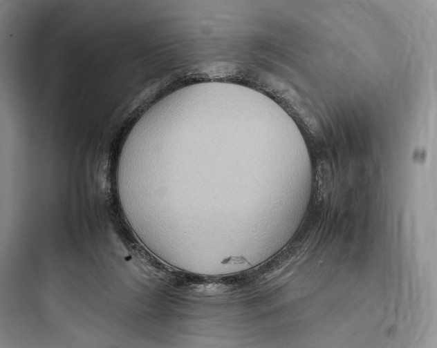 X0000097600212200803211707