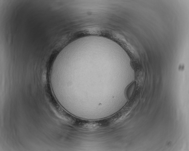 X0000097600213200803211707