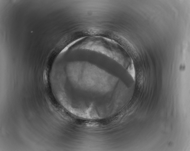 X0000097600214200803211707