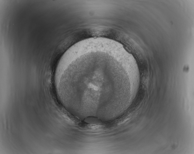 X0000097600219200803211707