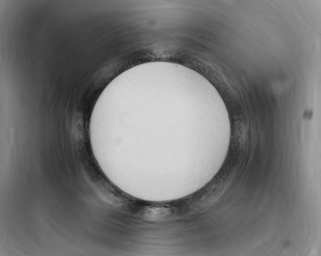 X0000097600220200803211707