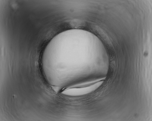 X0000097600221200803211707