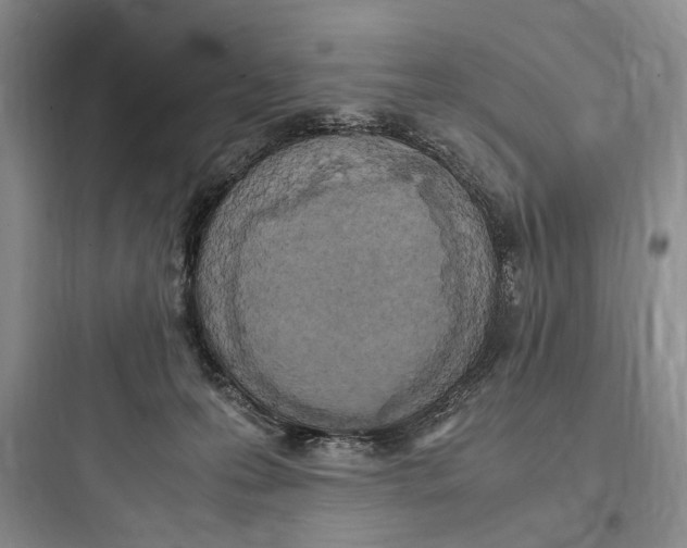 X0000097600223200803211707