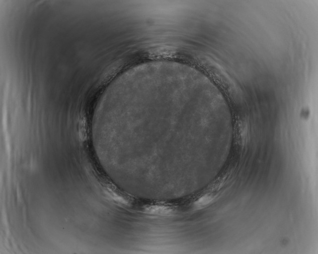 X0000097600224200803211707