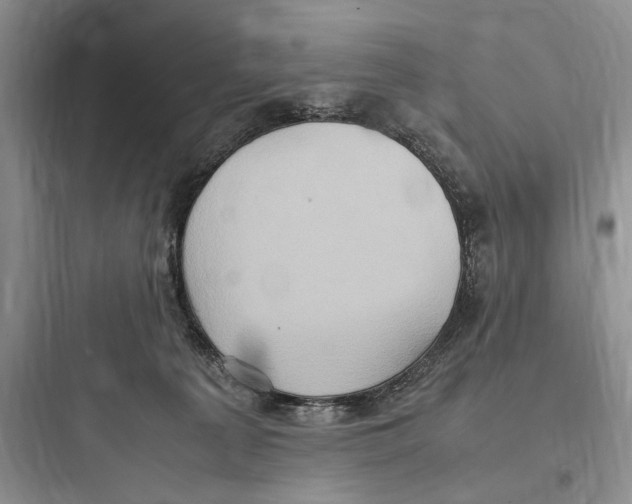 X0000097600225200803211707