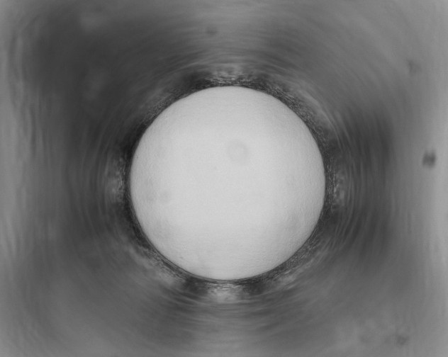 X0000097600226200803211707