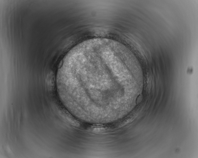 X0000097600228200803211707