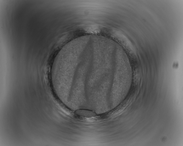 X0000097600229200803211707