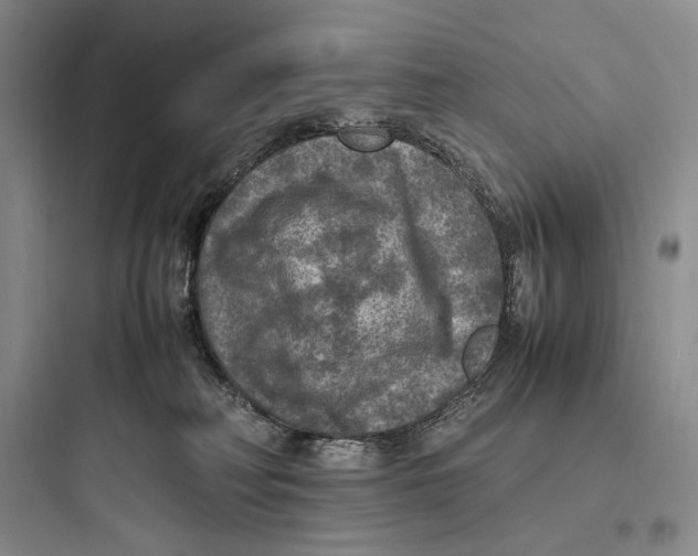 X0000097600230200803211707