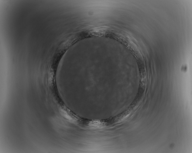 X0000097600231200803211707