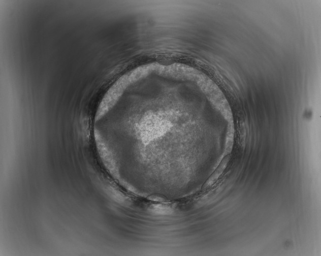 X0000097600232200803211707