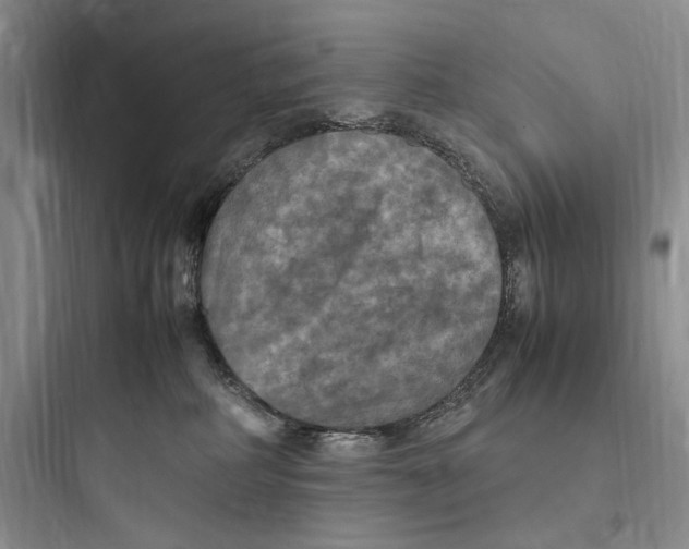 X0000097600234200803211707