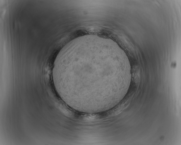 X0000097600235200803211707