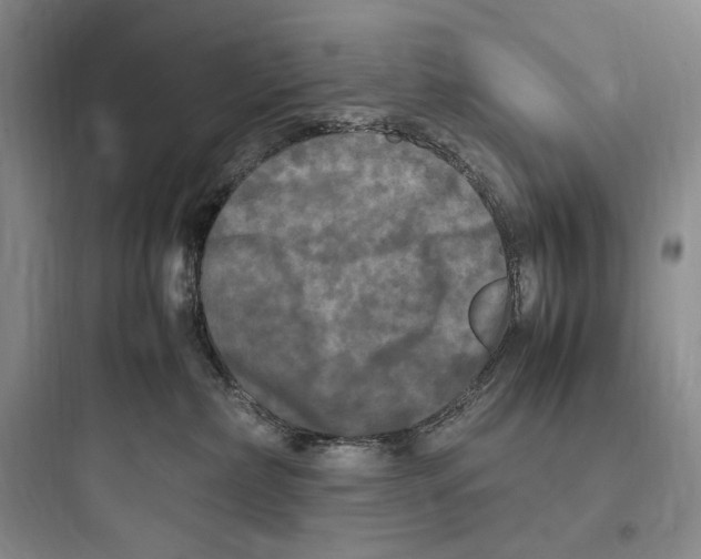 X0000097600236200803211707