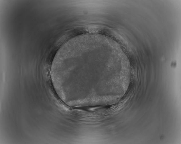 X0000097600237200803211707