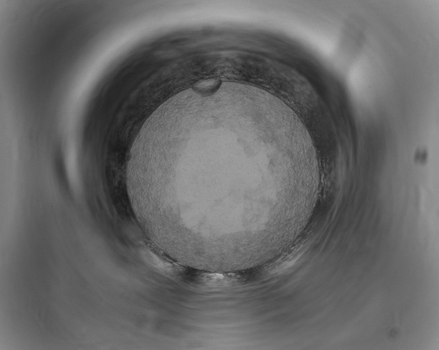 X0000097600239200803211707