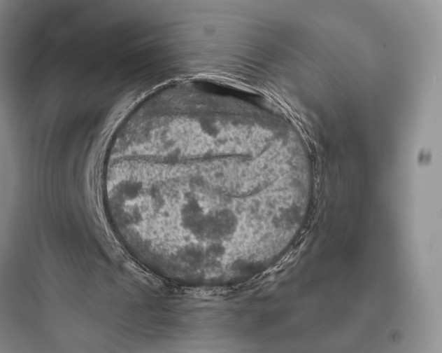 X0000097600241200803211706