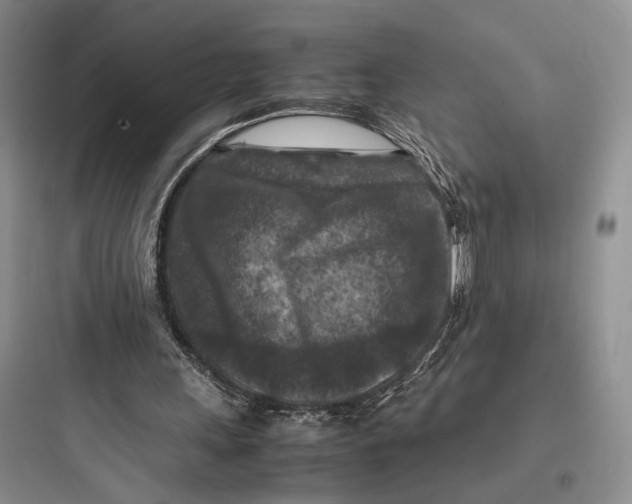 X0000097600243200803211706