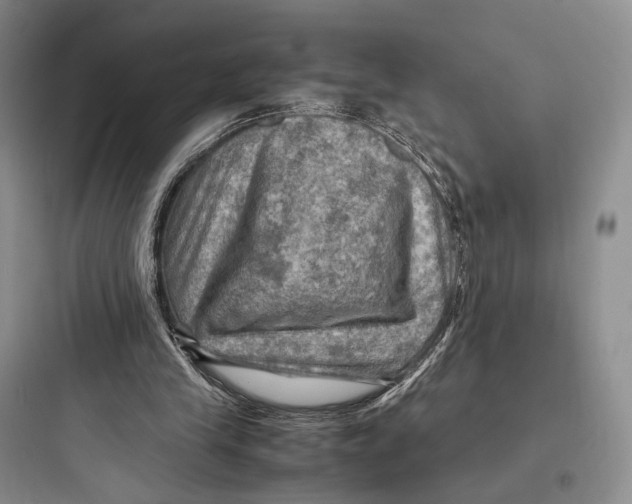 X0000097600245200803211706