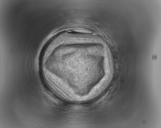 X0000097600246200803211706