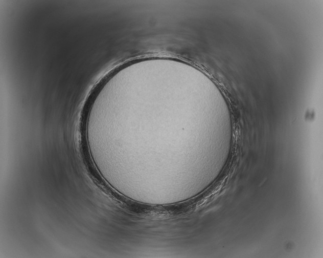 X0000097600248200803211706