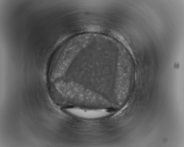 X0000097600249200803211706