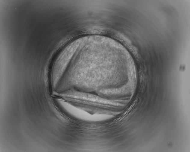 X0000097600250200803211706