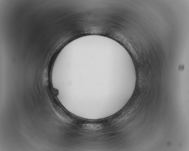 X0000097600251200803211706