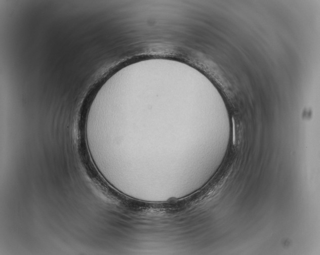 X0000097600252200803211706