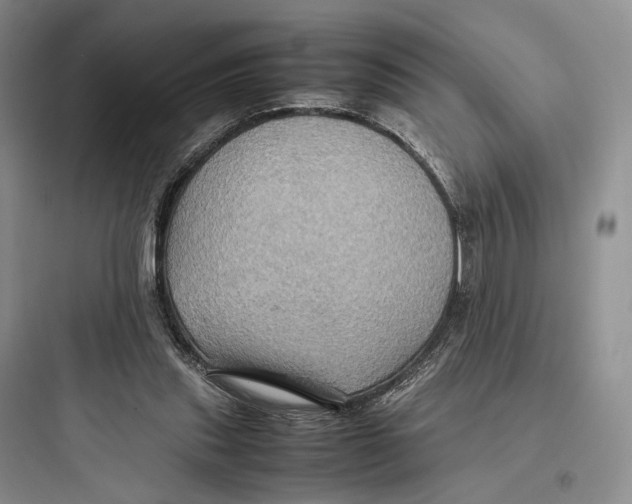 X0000097600253200803211706