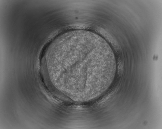 X0000097600254200803211706