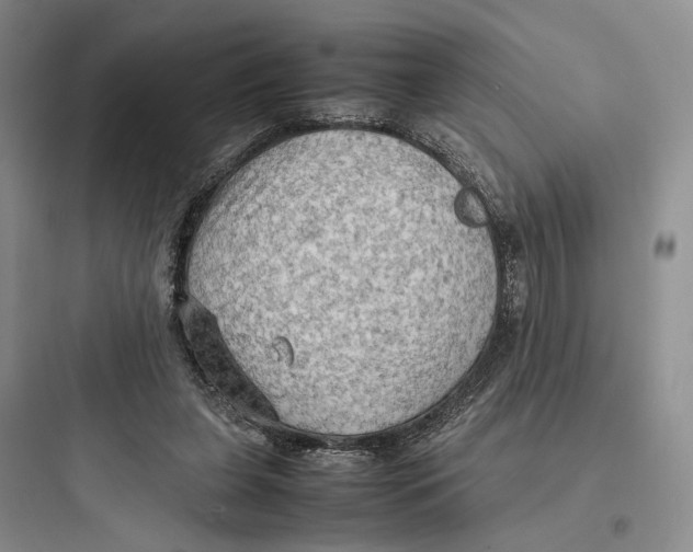 X0000097600255200803211706