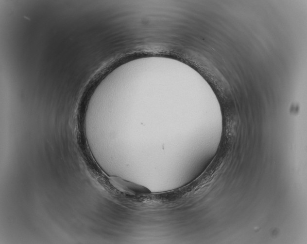 X0000097600256200803211706