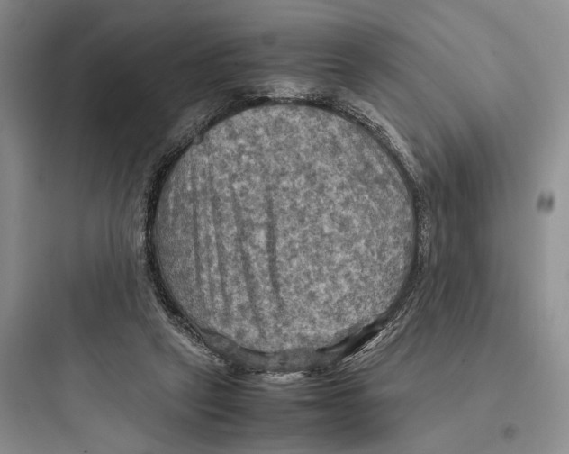 X0000097600257200803211706