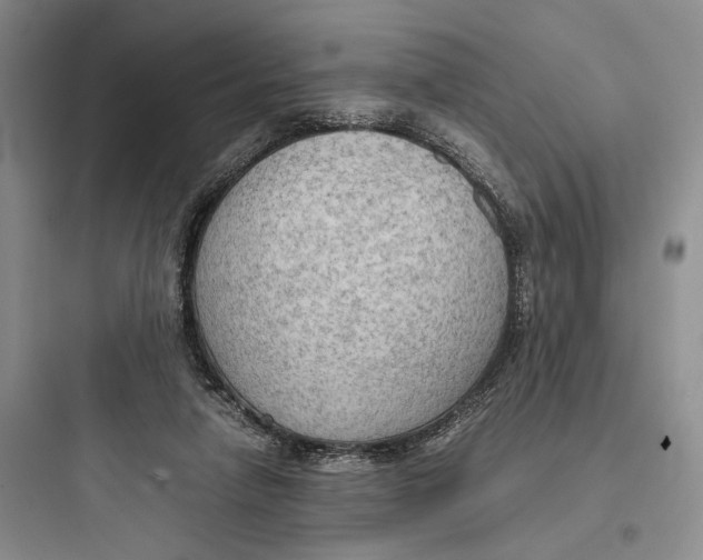 X0000097600258200803211706