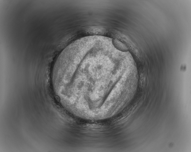 X0000097600259200803211706