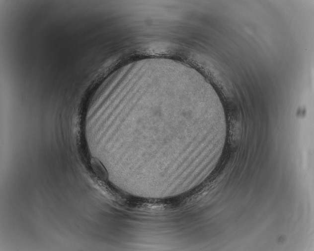 X0000097600260200803211706