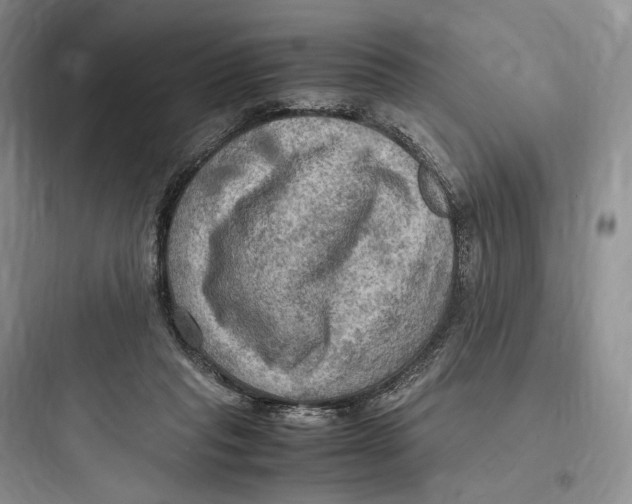 X0000097600261200803211706