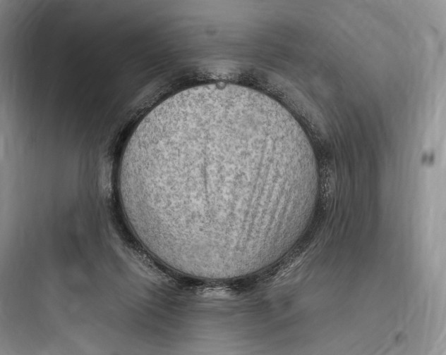 X0000097600262200803211706