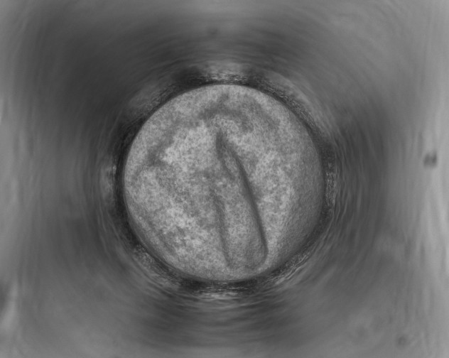 X0000097600263200803211706