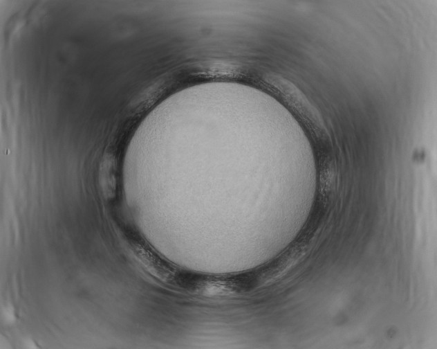 X0000097600264200803211706